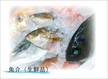 魚介（生鮮品）